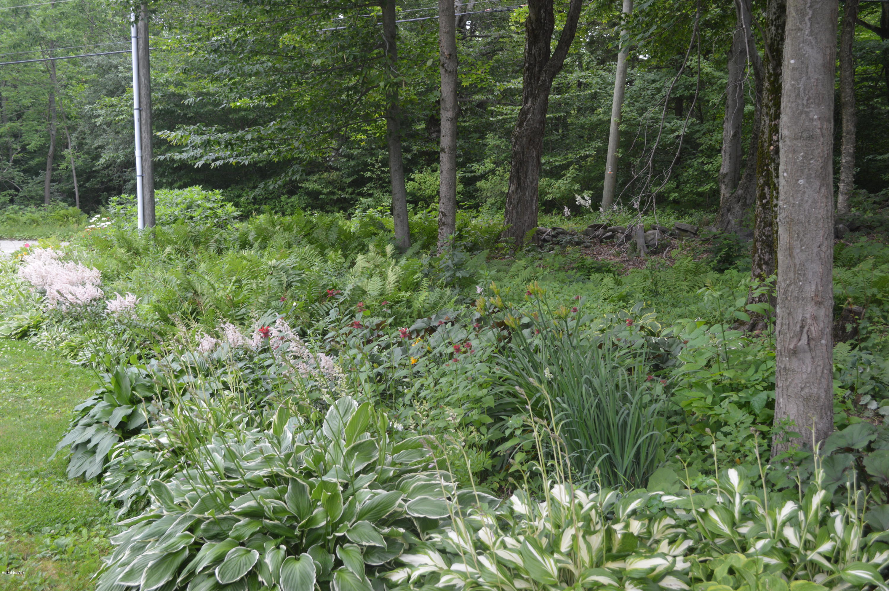 759 George Carter Road Becket, MA 01223 - Photo 30 of 56 a view of forest