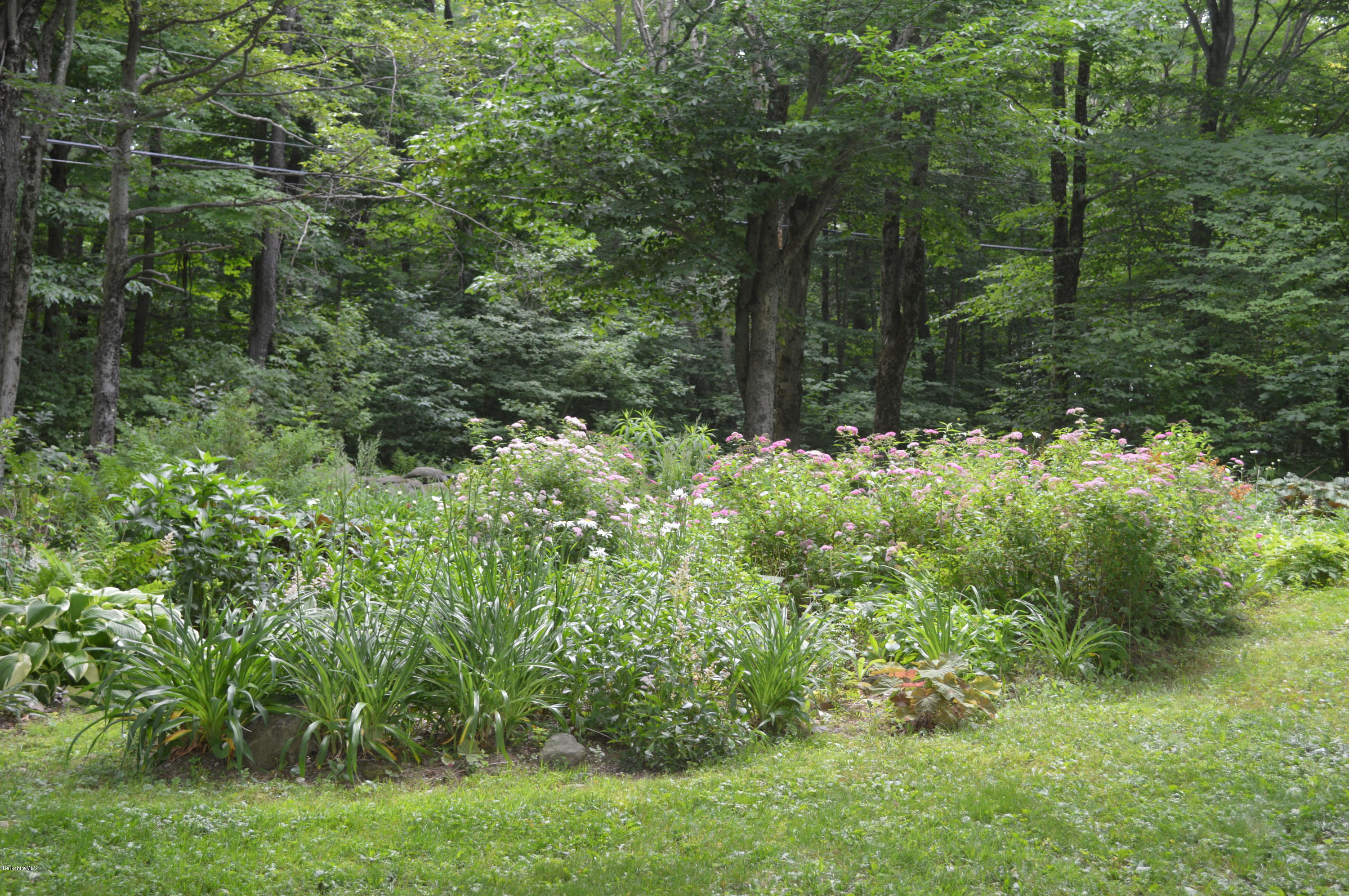 759 George Carter Road Becket, MA 01223 - Photo 31 of 56 a view of a lush green forest