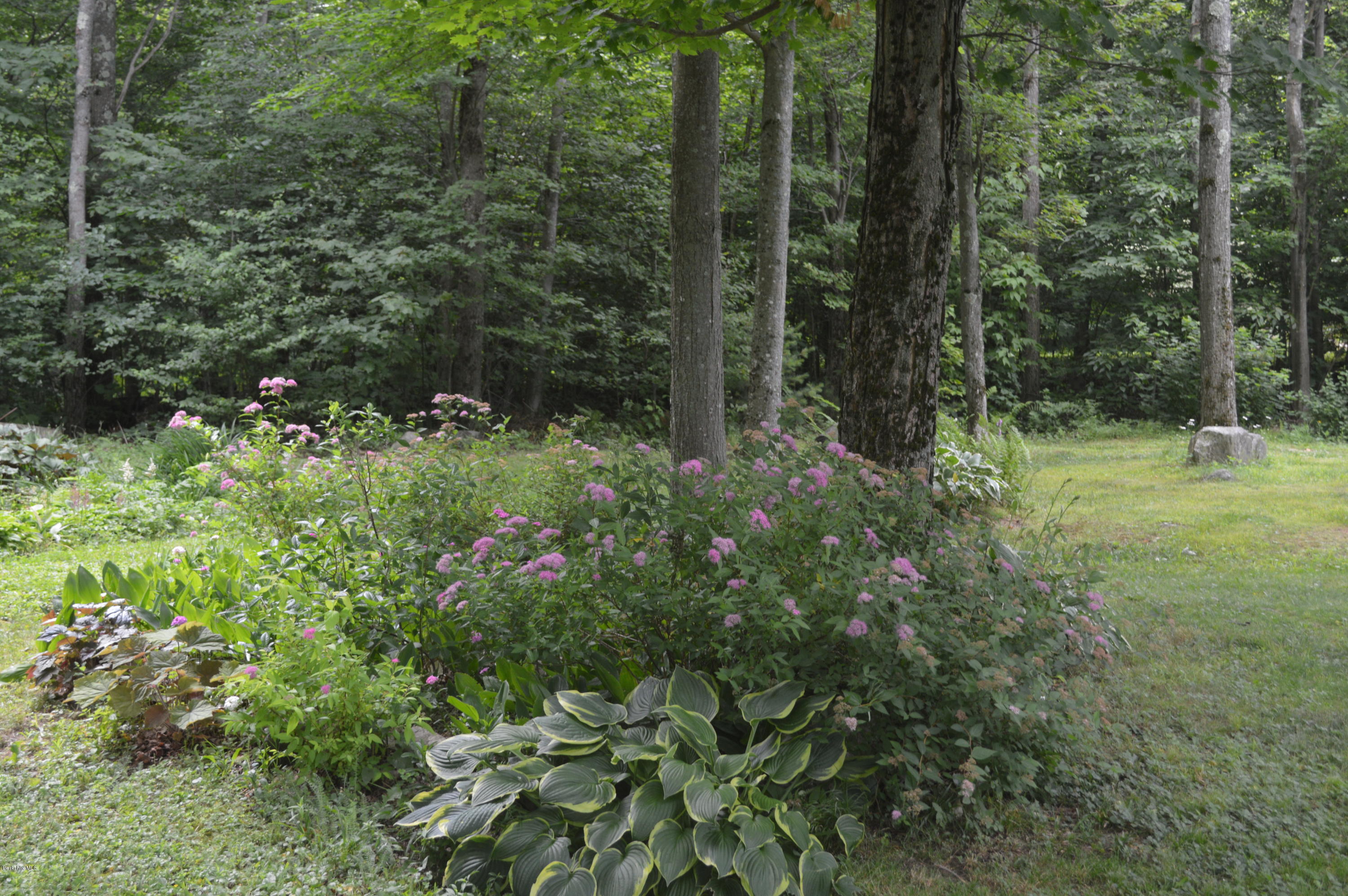 759 George Carter Road Becket, MA 01223 - Photo 32 of 56 a view of outdoor space and garden