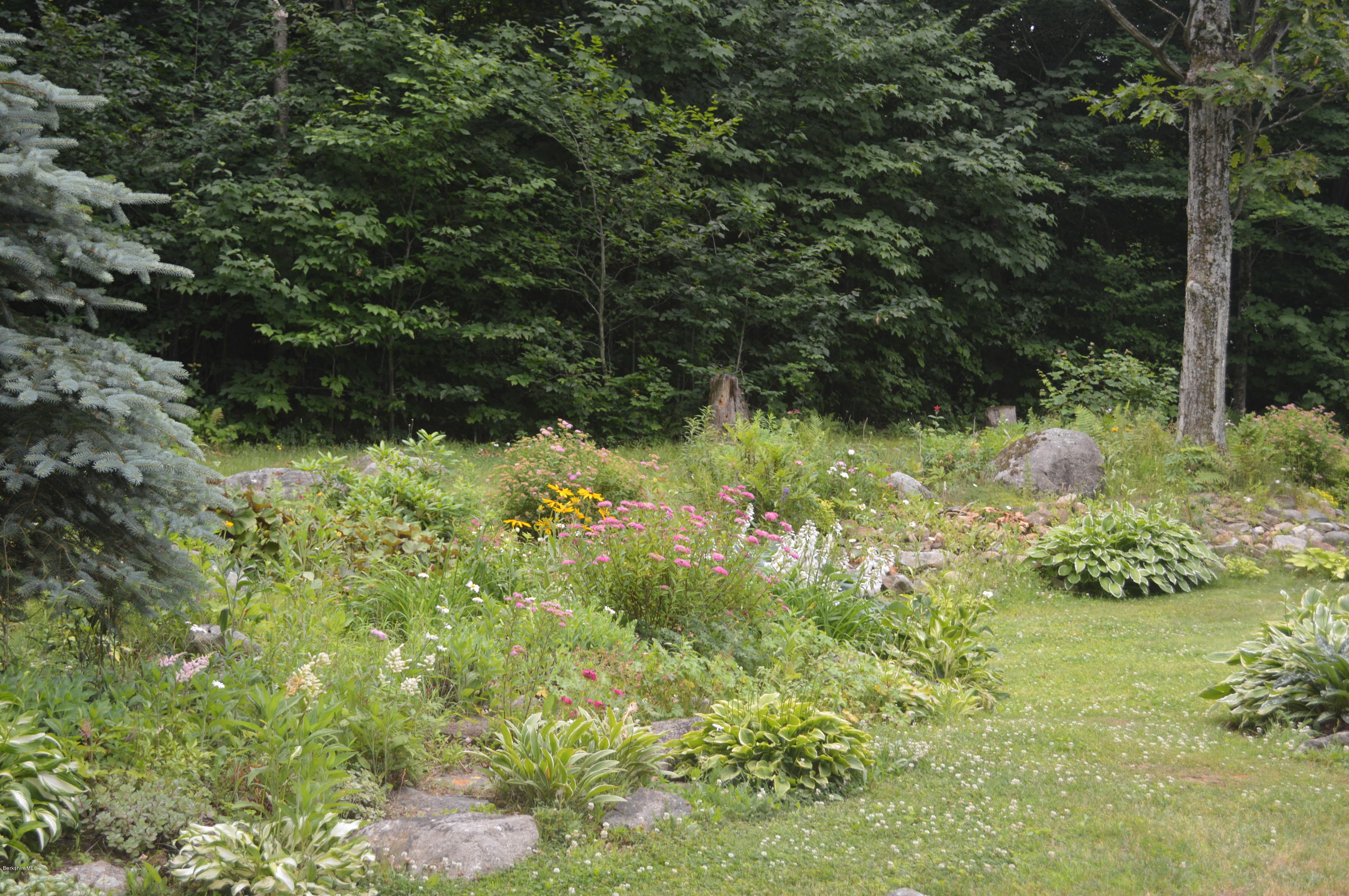 759 George Carter Road Becket, MA 01223 - Photo 33 of 56 a backyard of a house with lots of green space