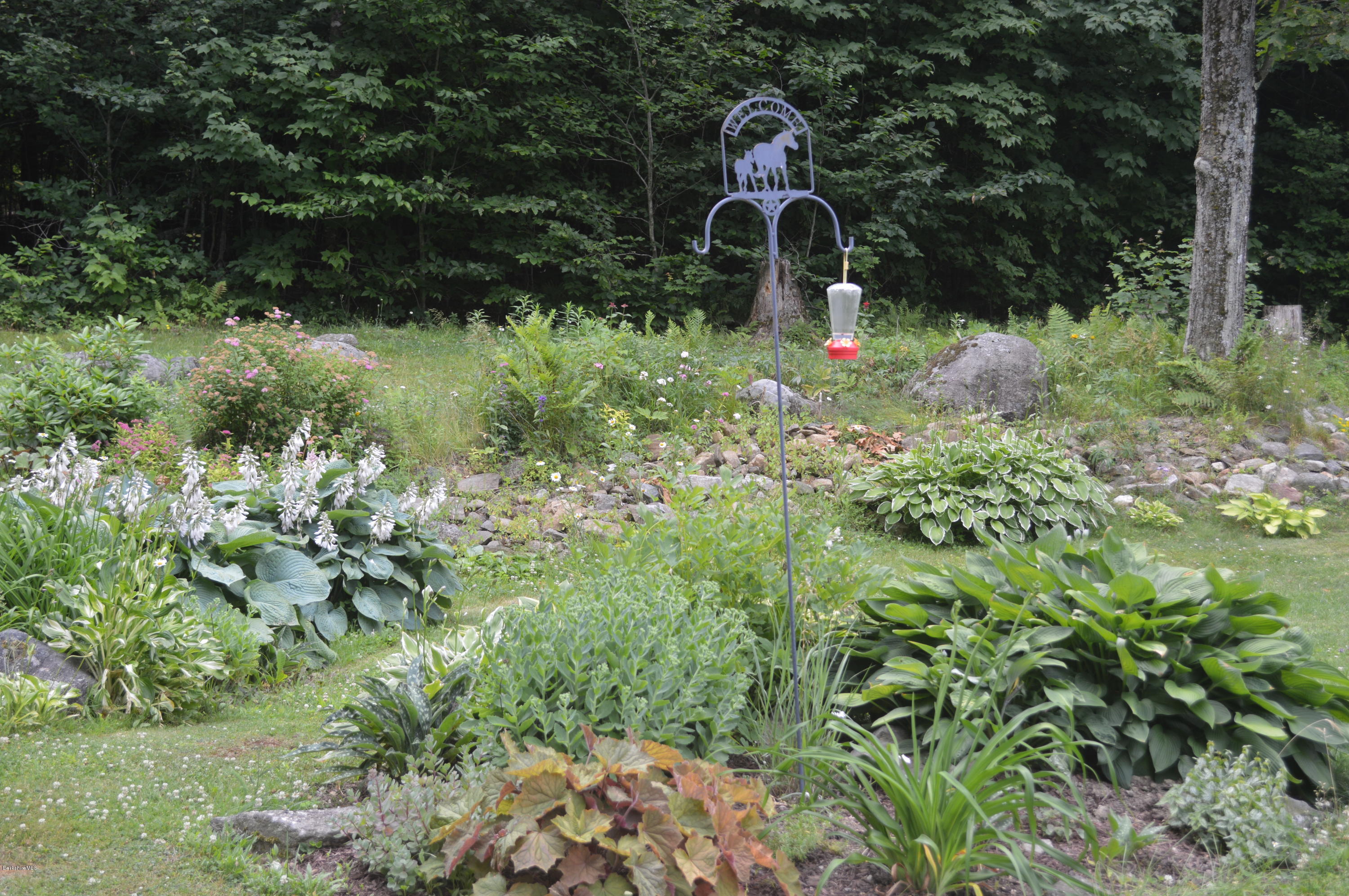 759 George Carter Road Becket, MA 01223 - Photo 34 of 56 a close up of a yard