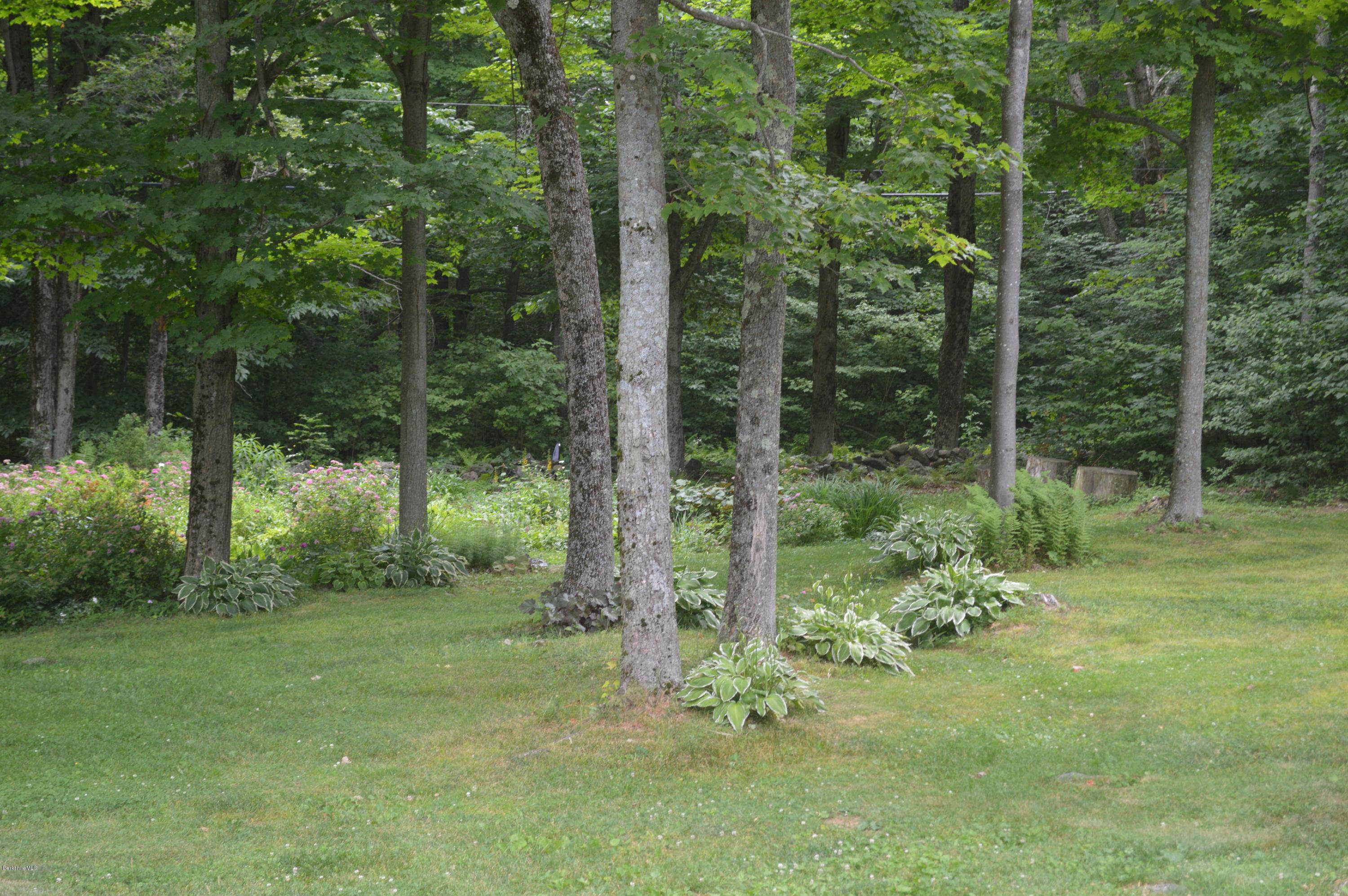 759 George Carter Road Becket, MA 01223 - Photo 35 of 56 a view of a trees in a yard