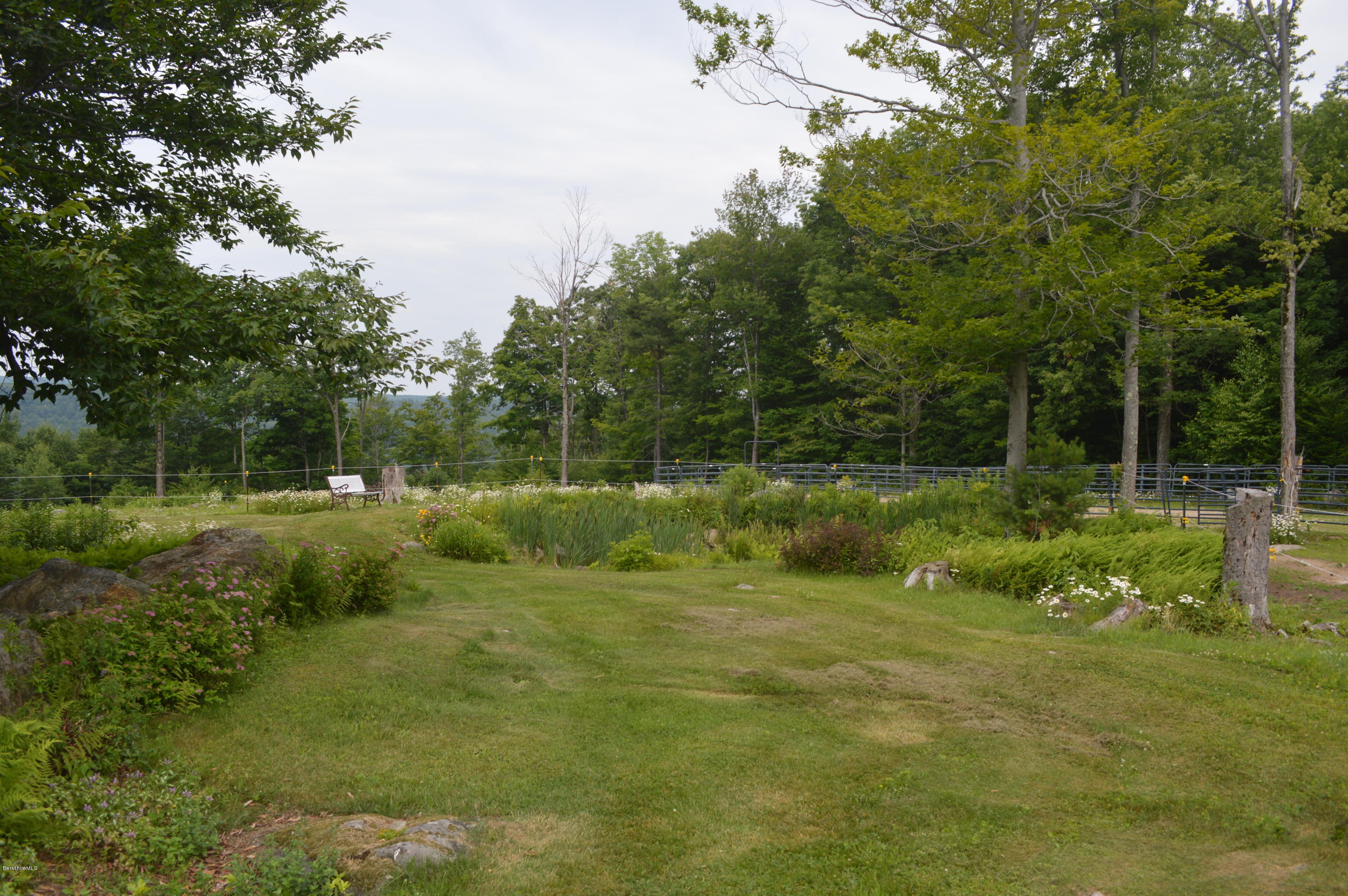 759 George Carter Road Becket, MA 01223 - Photo 46 of 56 a view of a park