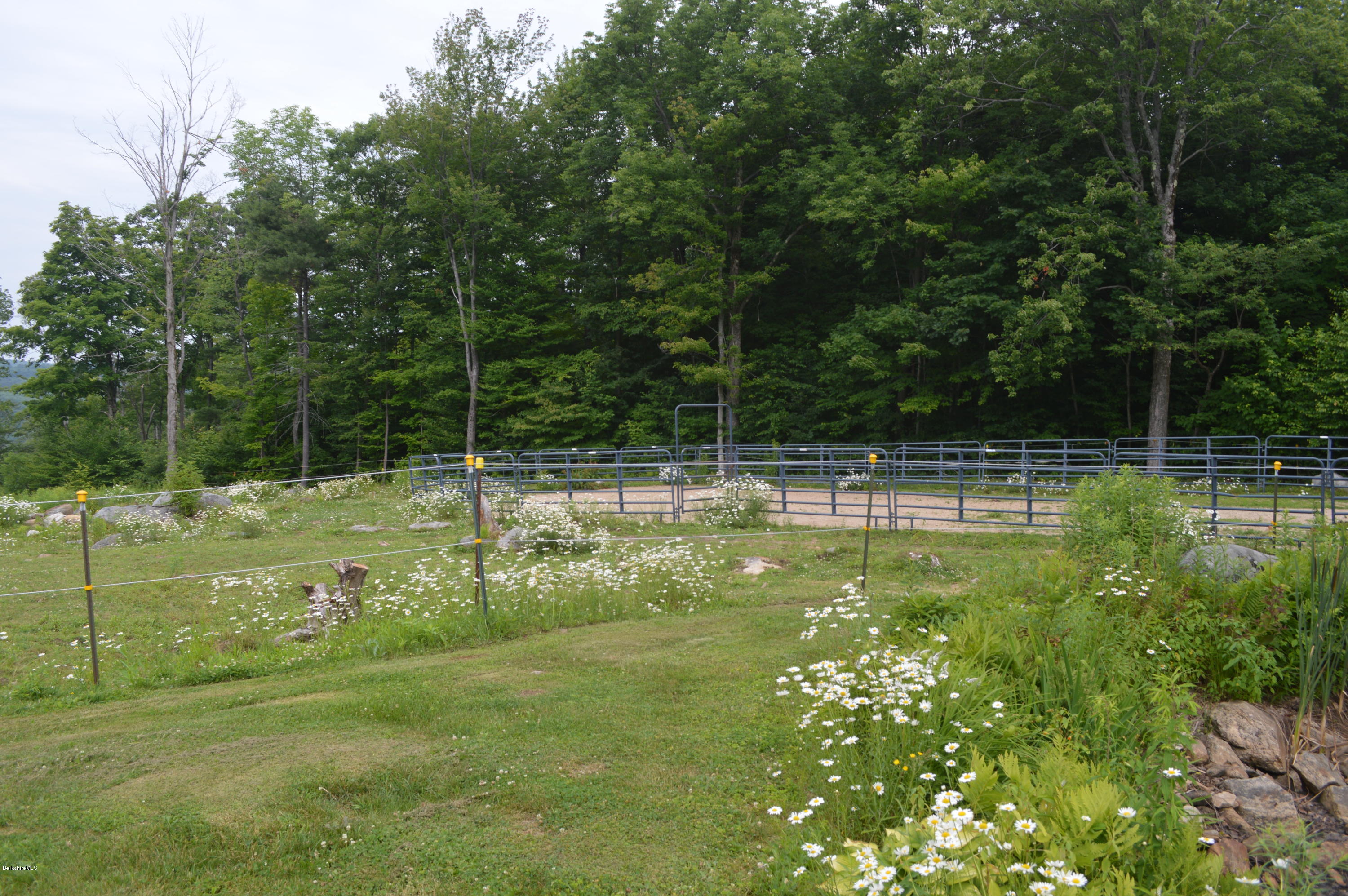 759 George Carter Road Becket, MA 01223 - Photo 47 of 56 a view of a park with large trees