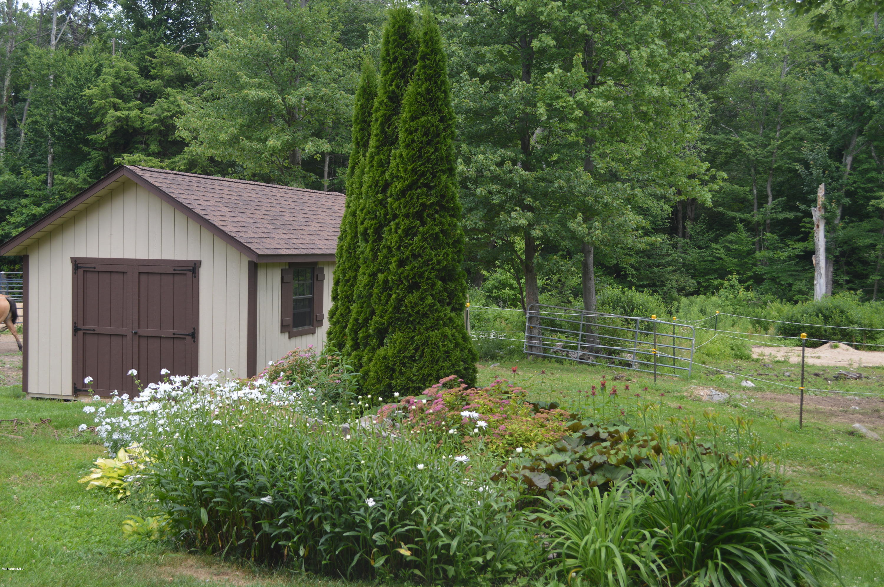 759 George Carter Road Becket, MA 01223 - Photo 53 of 56 a backyard of a house with plants and large trees
