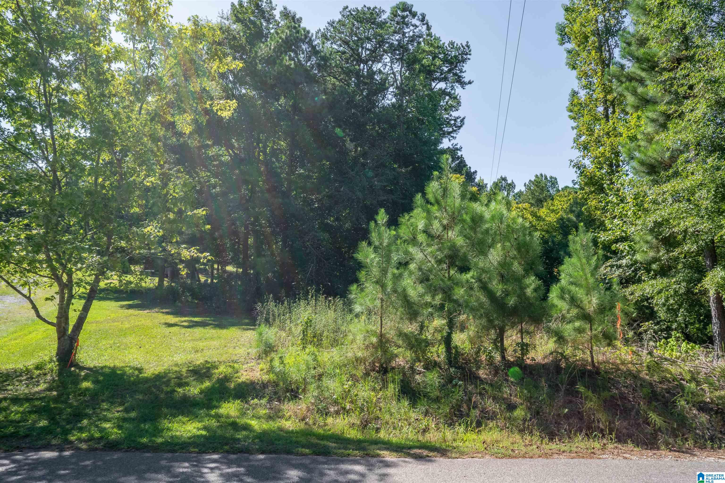 0 Dripping Rock Road Jacksonville, AL 36265 - Photo 3 of 14