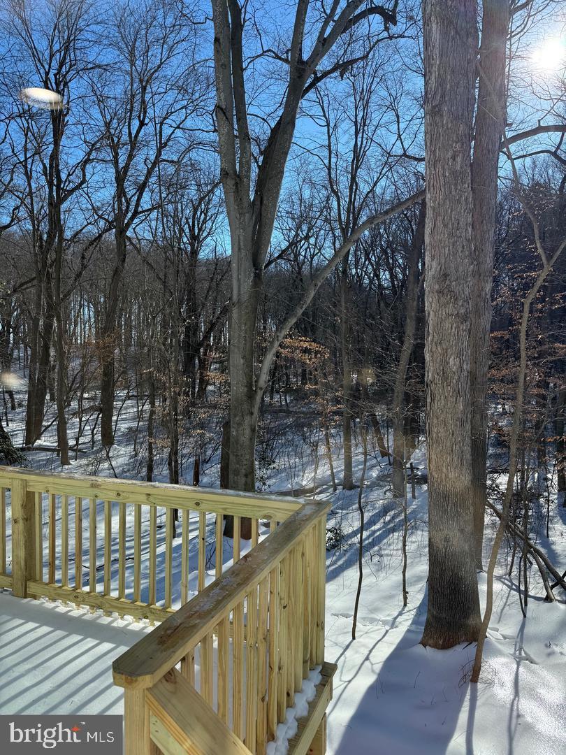 144 Pratts Branch Road Felton, DE 19943 - Photo 11 of 39 Serene winter view from a cozy deck.