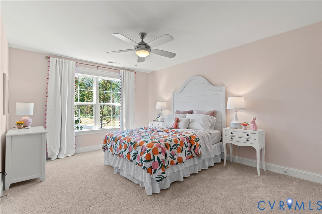 Tbd Toe Ink Terrace Quinton, VA 23141 - Photo 11 of 15