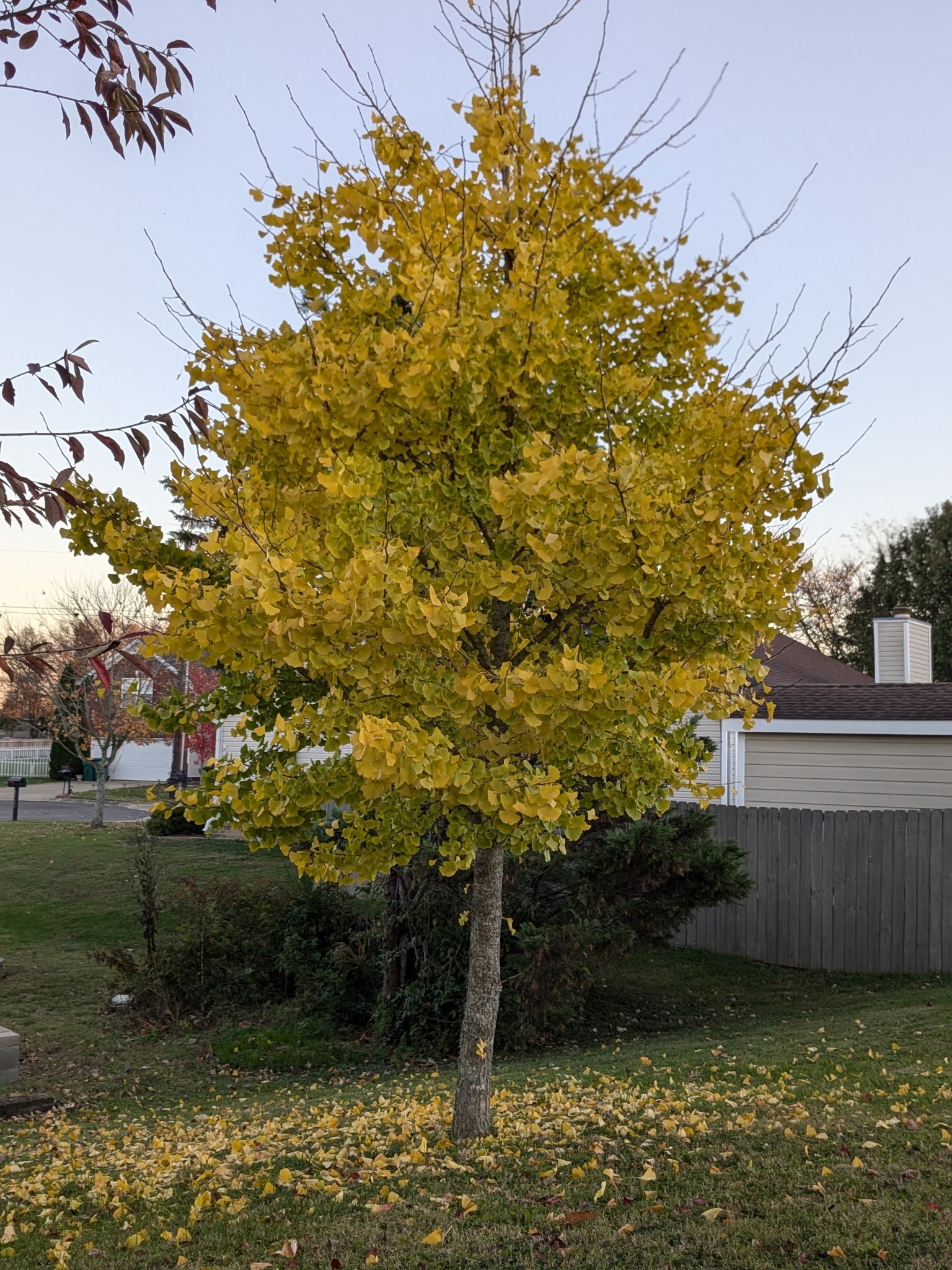 3306 Monoco Drive Spring Hill, TN 37174 - Photo 44 of 46