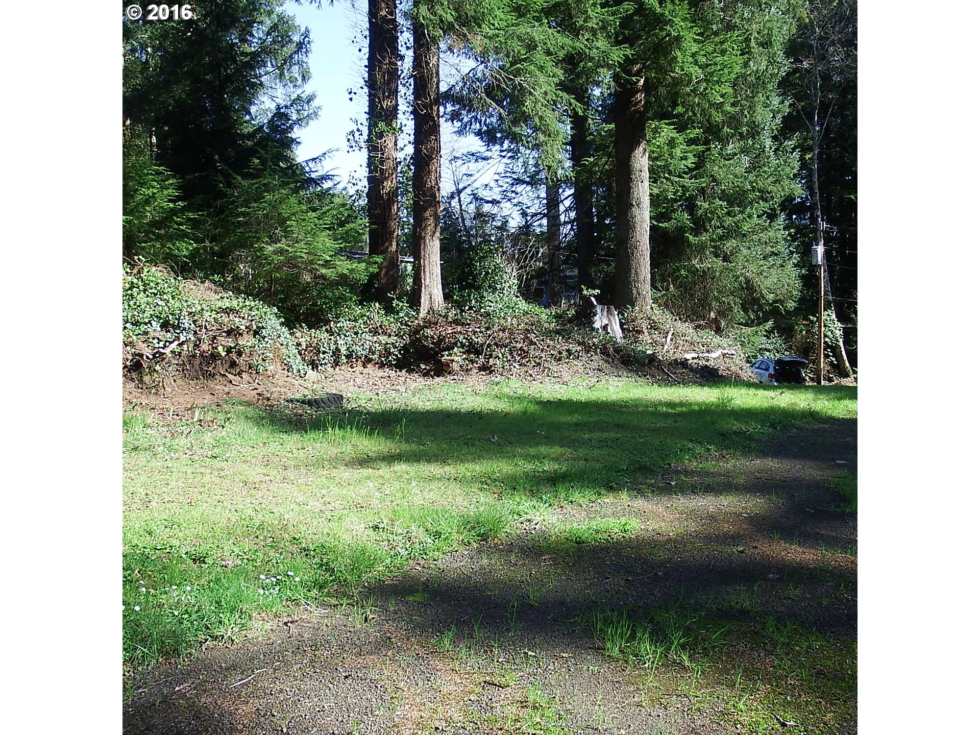 1970 Deer Ridge Road Tillamook, OR 97141 - Photo 4 of 7 Gallery Image 4