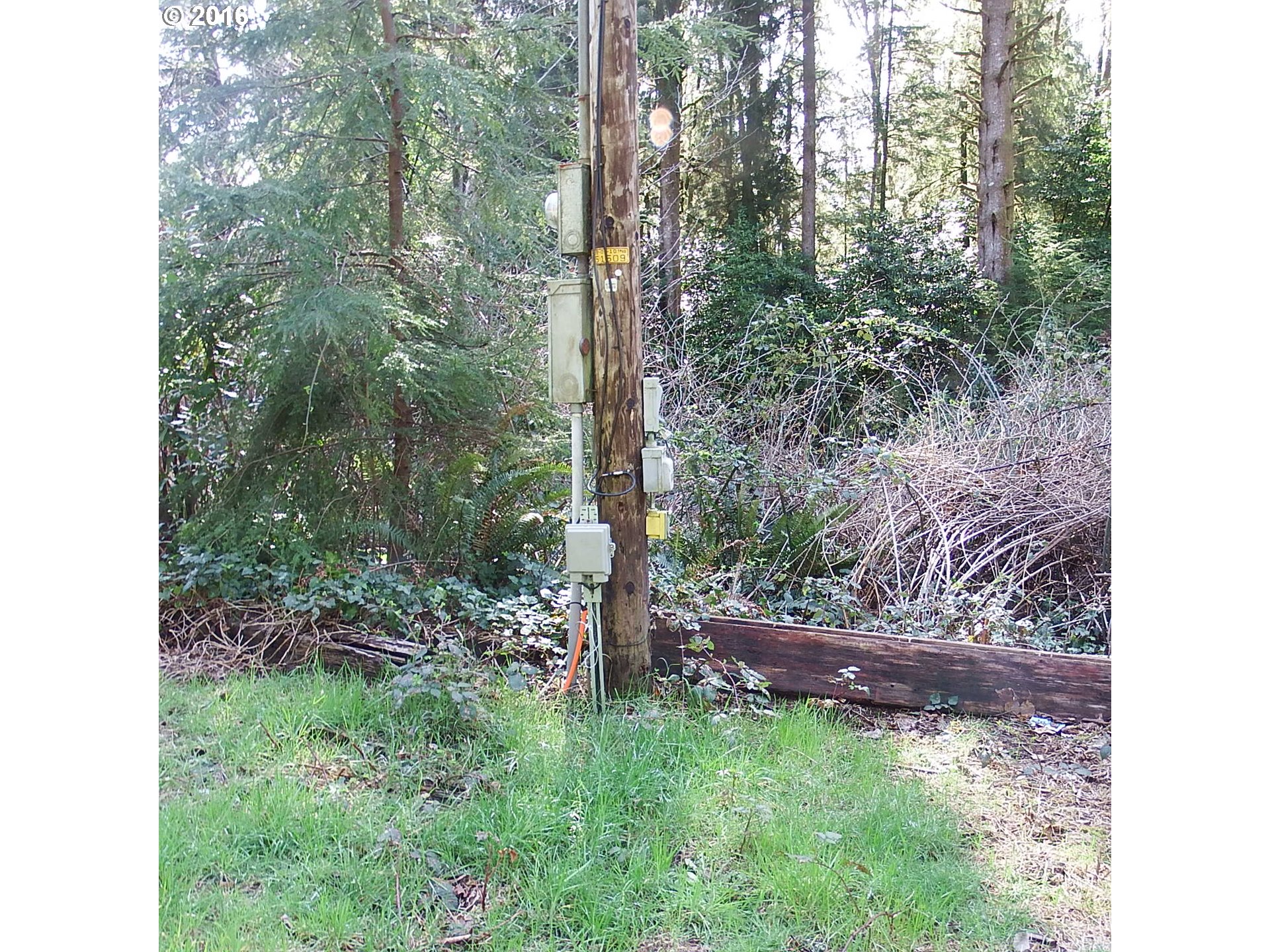 1970 Deer Ridge Road Tillamook, OR 97141 - Photo 6 of 7 Gallery Image 6