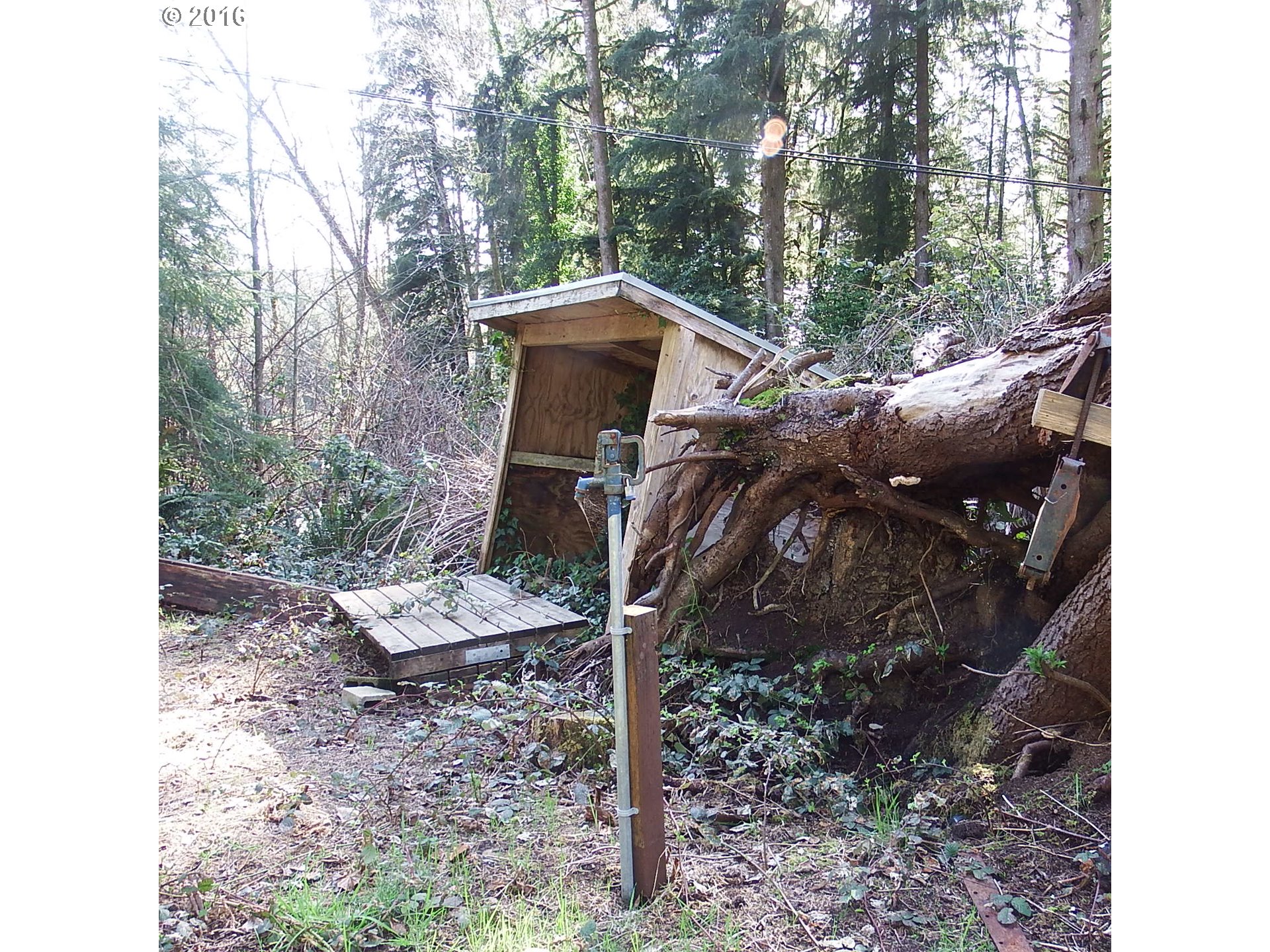 1970 Deer Ridge Road Tillamook, OR 97141 - Photo 7 of 7 Gallery Image 7
