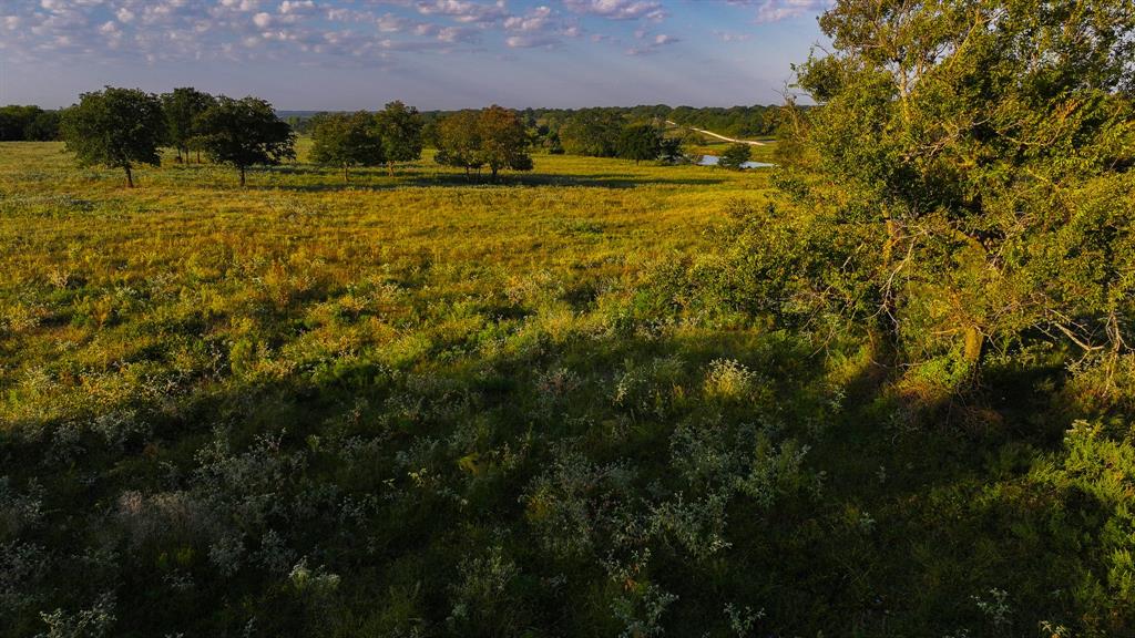 675 Hundley Road Montague, TX 76251 - Photo 17 of 37 a view of a yard with a house