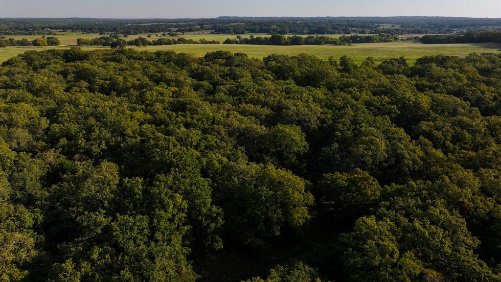 675 Hundley Road Montague, TX 76251 - Photo 21 of 37 an aerial view of residential houses with outdoor space and trees