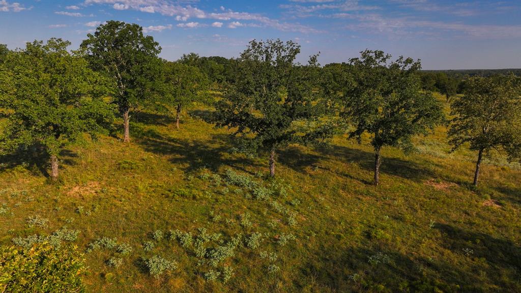 675 Hundley Road Montague, TX 76251 - Photo 24 of 37 a view of a big yard of a house