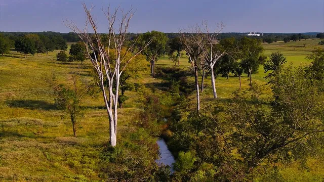 a view of a lake with a yard