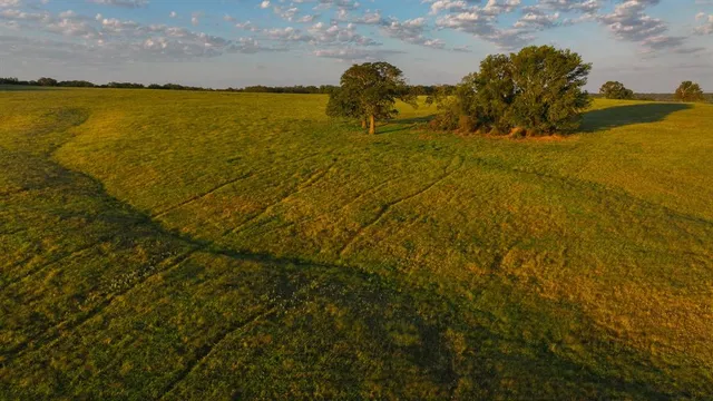 a view of an ocean and beach