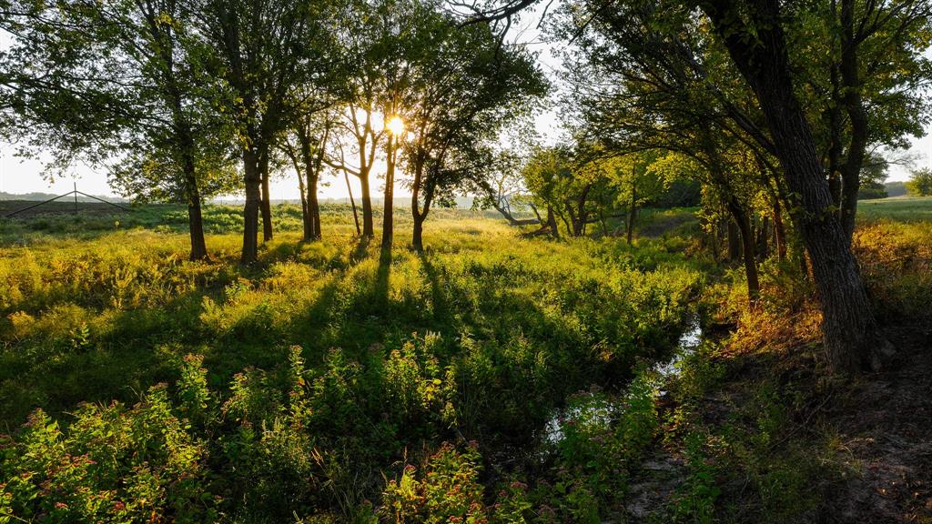 675 Hundley Road Montague, TX 76251 - Photo 33 of 37