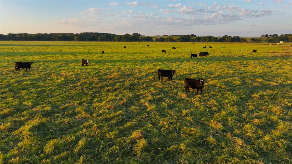 675 Hundley Road Montague, TX 76251 - Photo 6 of 37 a view of an ocean view