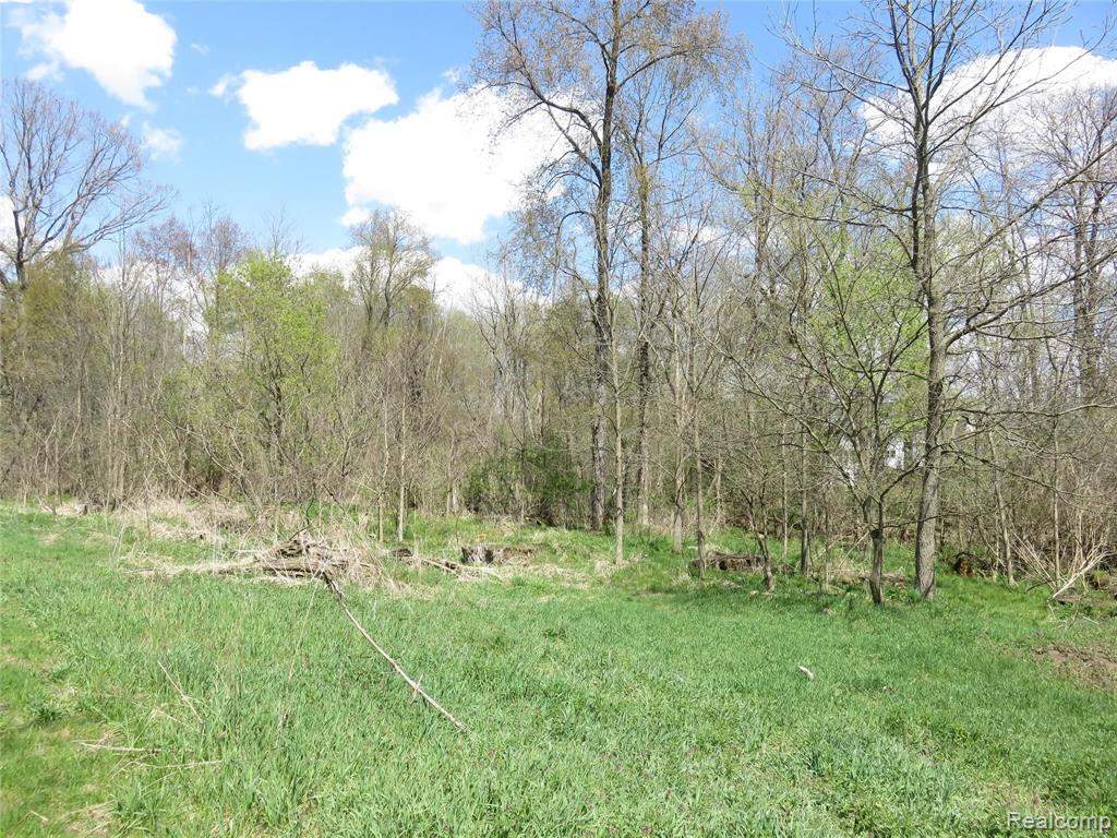0 South Elliott Road Fowlerville, MI 48836 - Photo 17 of 22