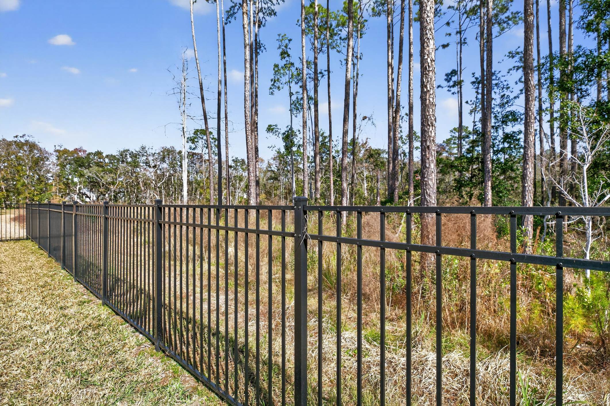 177 White Rabbit Run St. Augustine, FL 32092 - Photo 49 of 53 View of yard