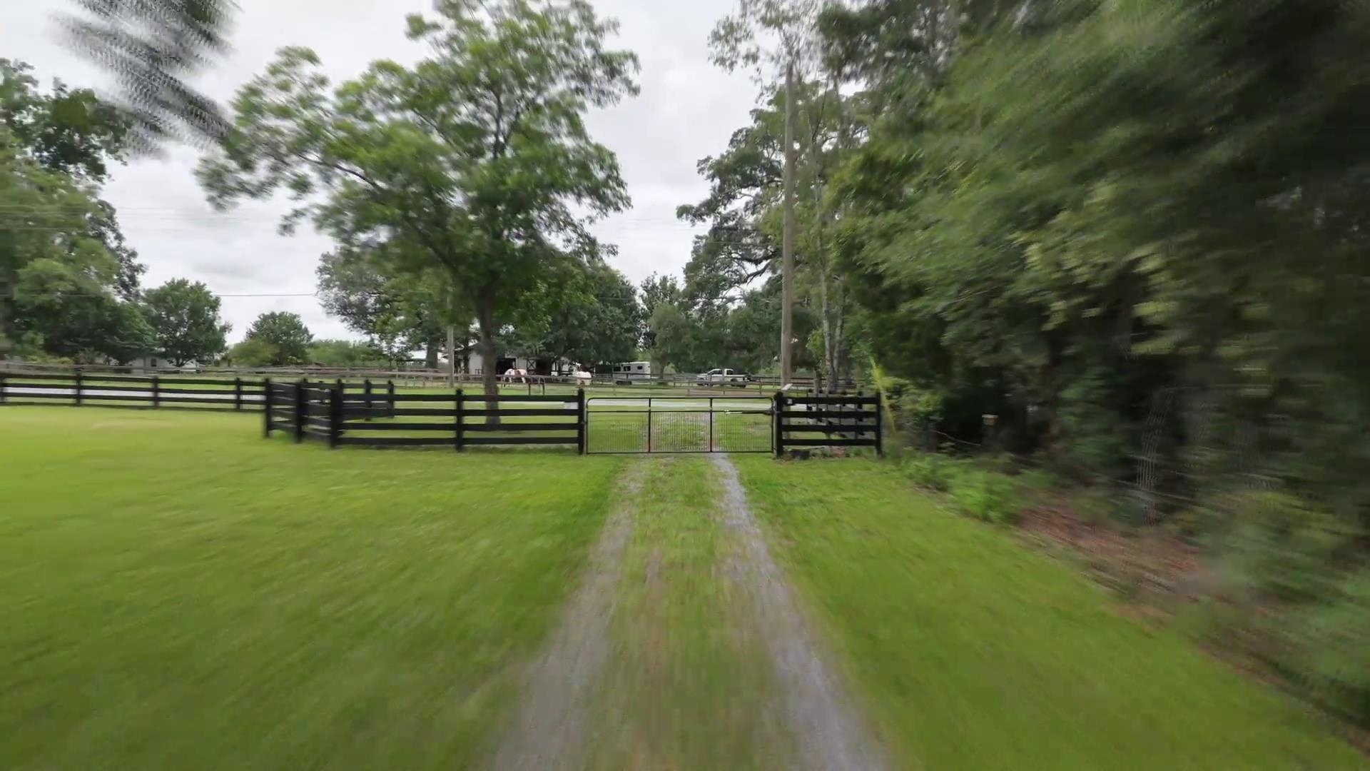 3906 Concord Road Havana, FL 32333 - Photo 8 of 59