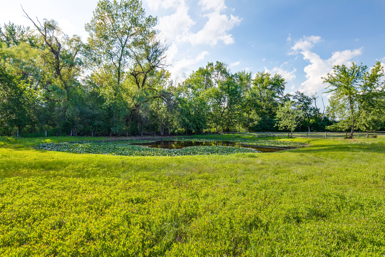 21624 North Harbor Road Barrington, IL 60010 - Photo 35 of 53