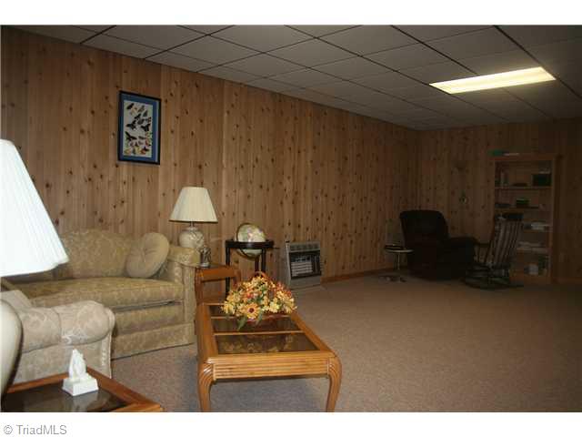3840 Cedar Springs Road Randleman, NC 27317 - Photo 11 of 16 Den/Family/Great Room.