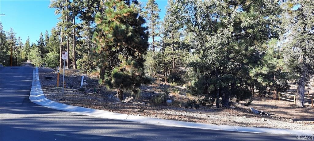 810 Talmadge Road Big Bear Lake, CA 92315 - Photo 12 of 18