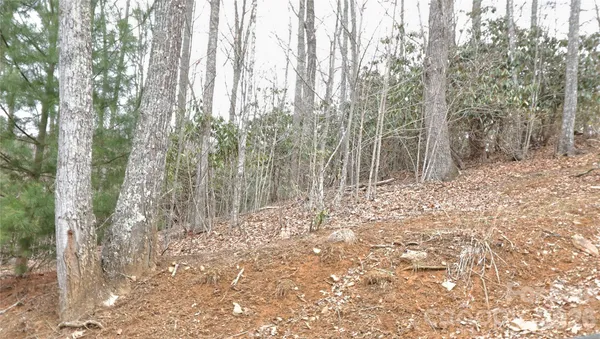 $49,000 | Tbd Vineyard Retreat Road, Unit 14, Newland, NC 28657