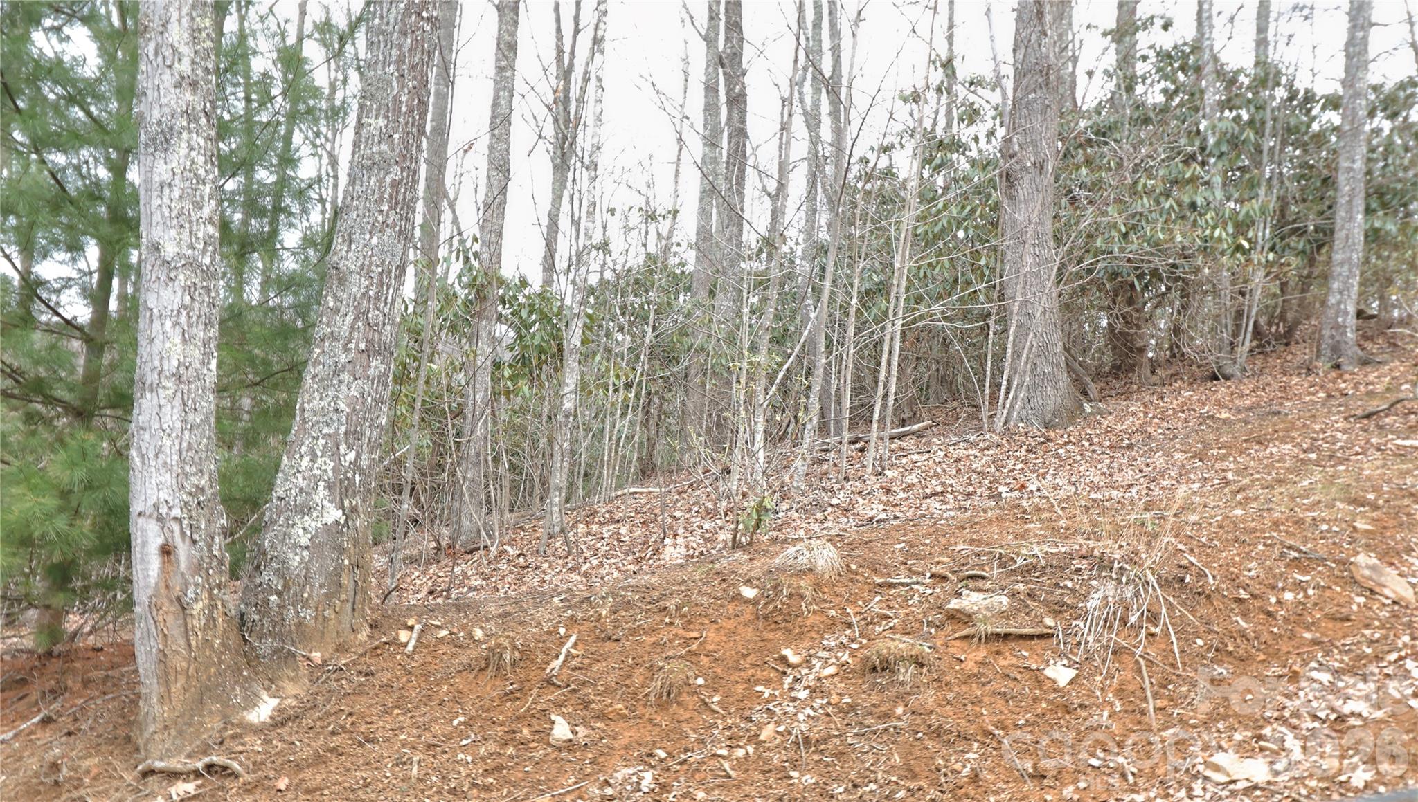 Tbd Vineyard Retreat Road, Unit 14 Newland, NC 28657 - Photo 1 of 7 a view of forest
