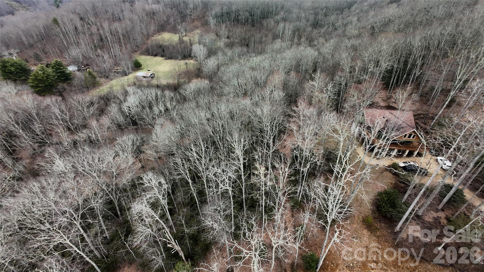 Tbd Vineyard Retreat Road, Unit 14 Newland, NC 28657 - Photo 4 of 7 a view of a forest with a tree