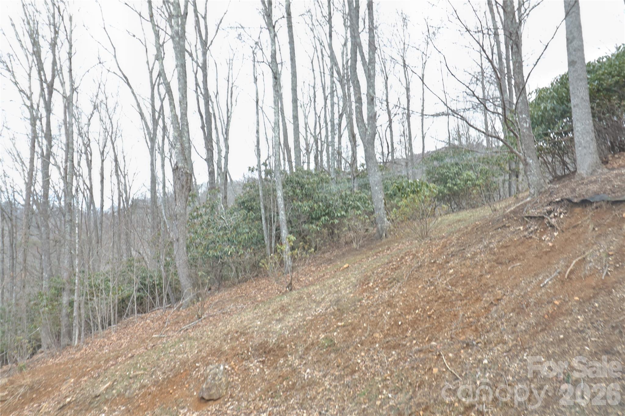 Tbd Vineyard Retreat Road, Unit 14 Newland, NC 28657 - Photo 7 of 7 a view of a forest with trees in the background