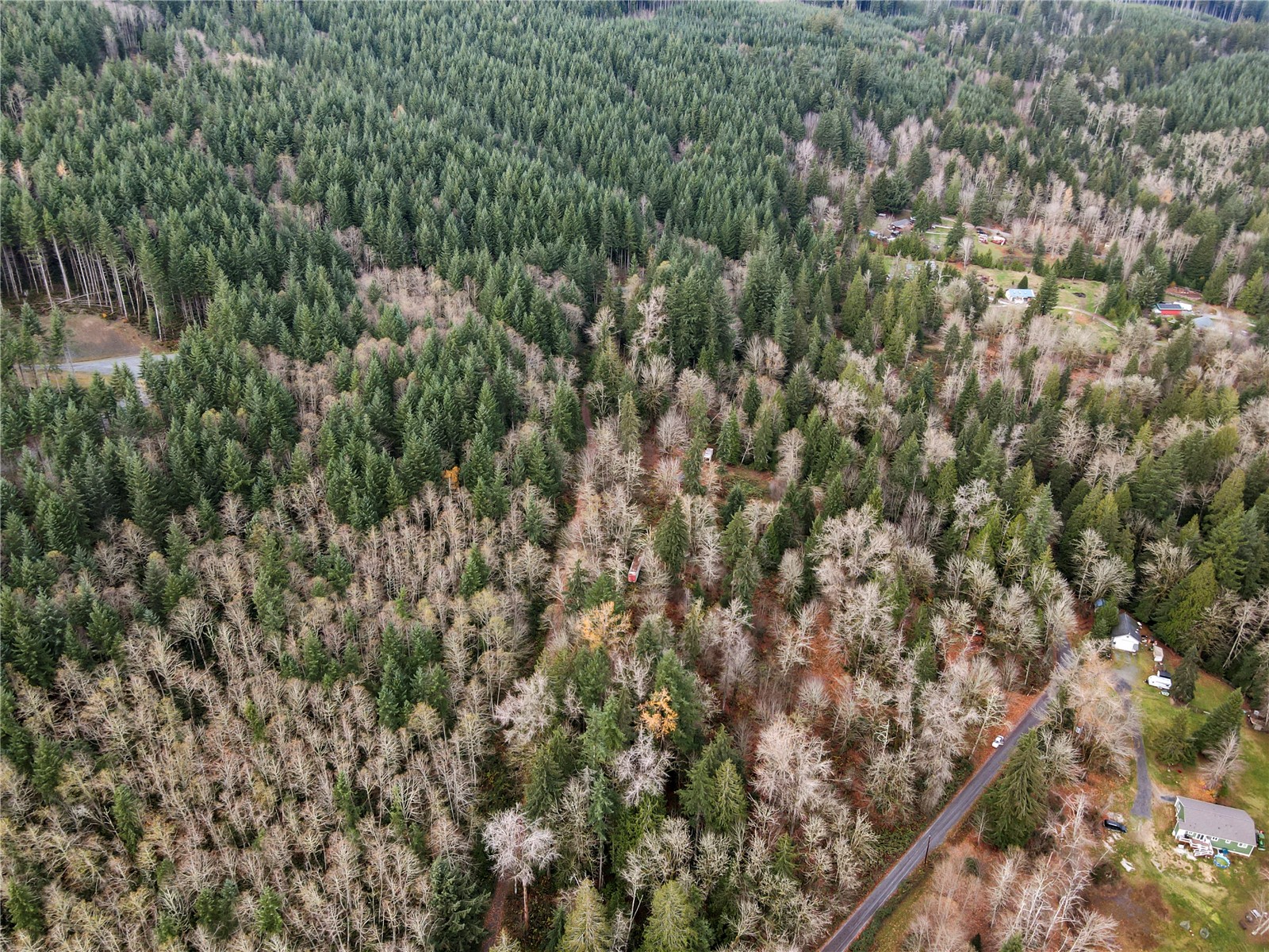 2500 Ebey Mountain Road Arlington, WA 98223 - Photo 6 of 7 a view of a forest with a tree