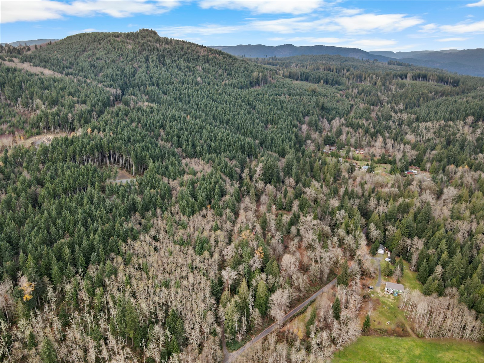 2500 Ebey Mountain Road Arlington, WA 98223 - Photo 7 of 7 a view of a lush green forest with mountains in the background