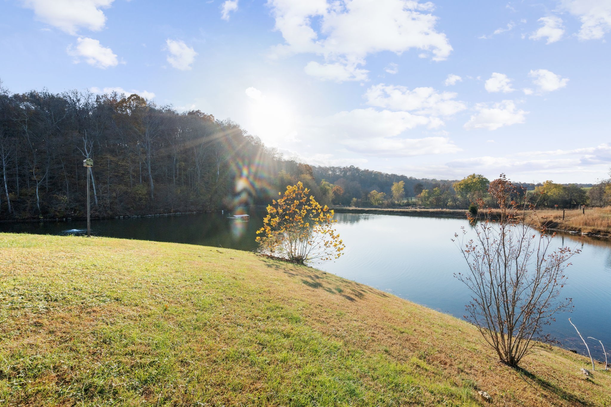 3721 South Hyde Road Springfield, TN 37172 - Photo 53 of 60 Gallery Image 53