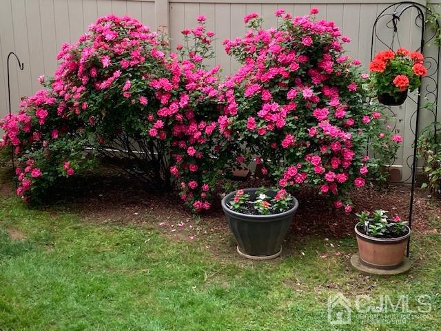136 Lee Drive Middlesex, NJ 08846 - Photo 32 of 35 a view of a garden with flowers and flowers