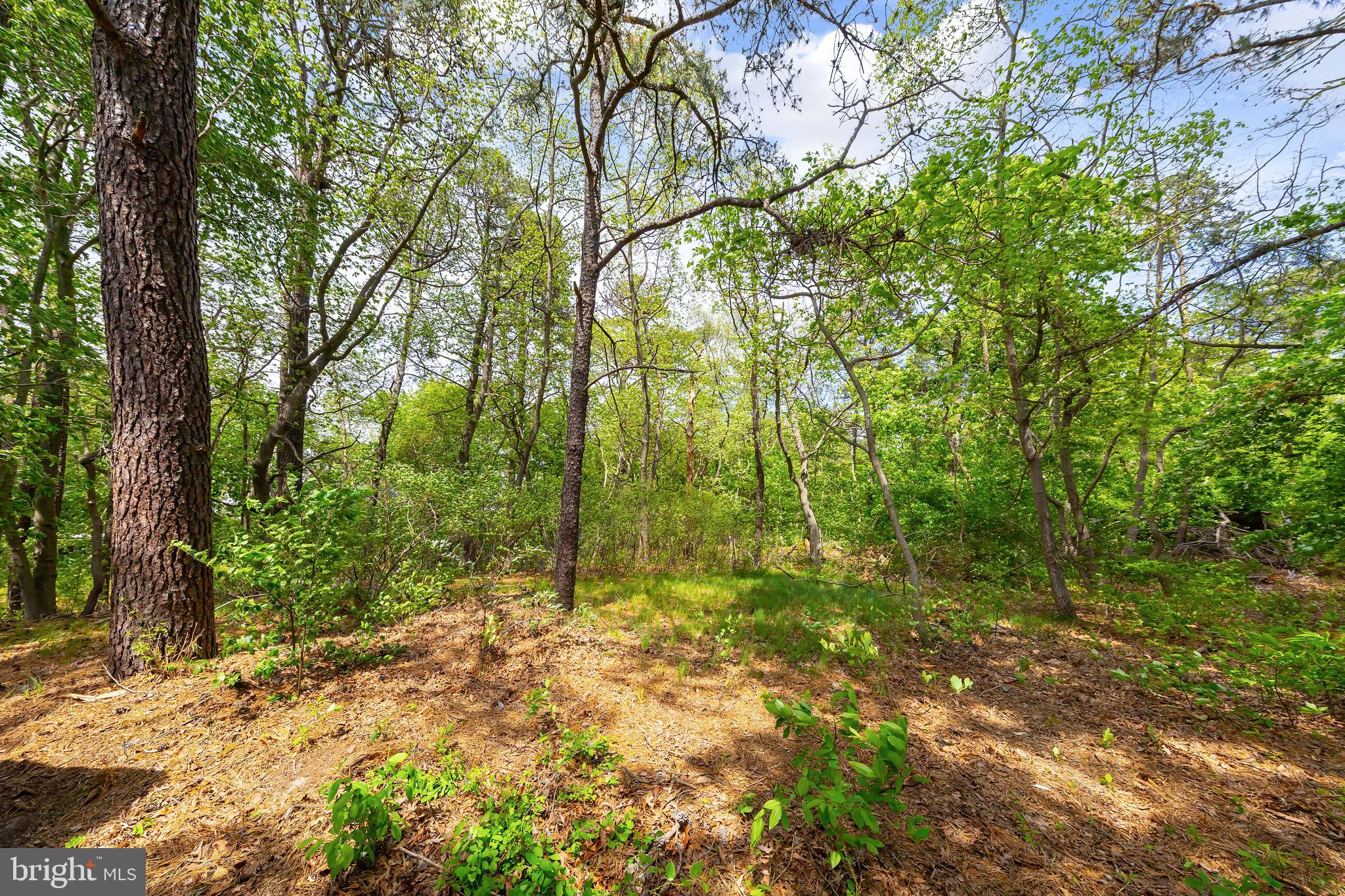 37 Ray Smith Road Sicklerville, NJ 08081 - Photo 13 of 15
