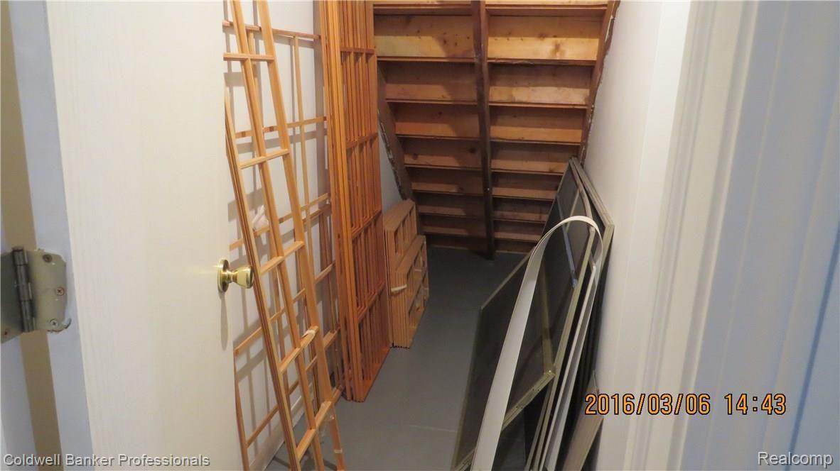 16200 33 Mile Road Armada, MI 48005 - Photo 62 of 77 Storage under Stairs