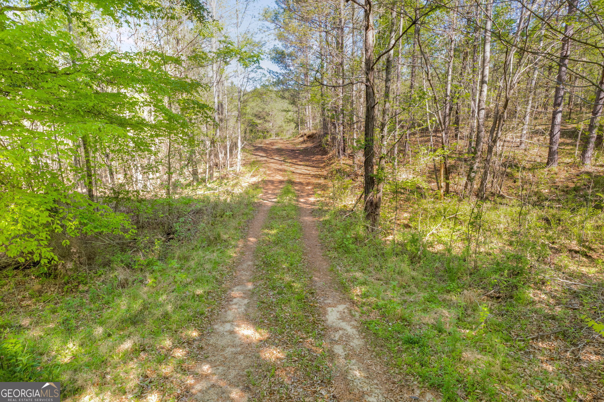 0 Lipham Road Franklin, GA 30217 - Photo 2 of 8 a backyard of a house with large trees