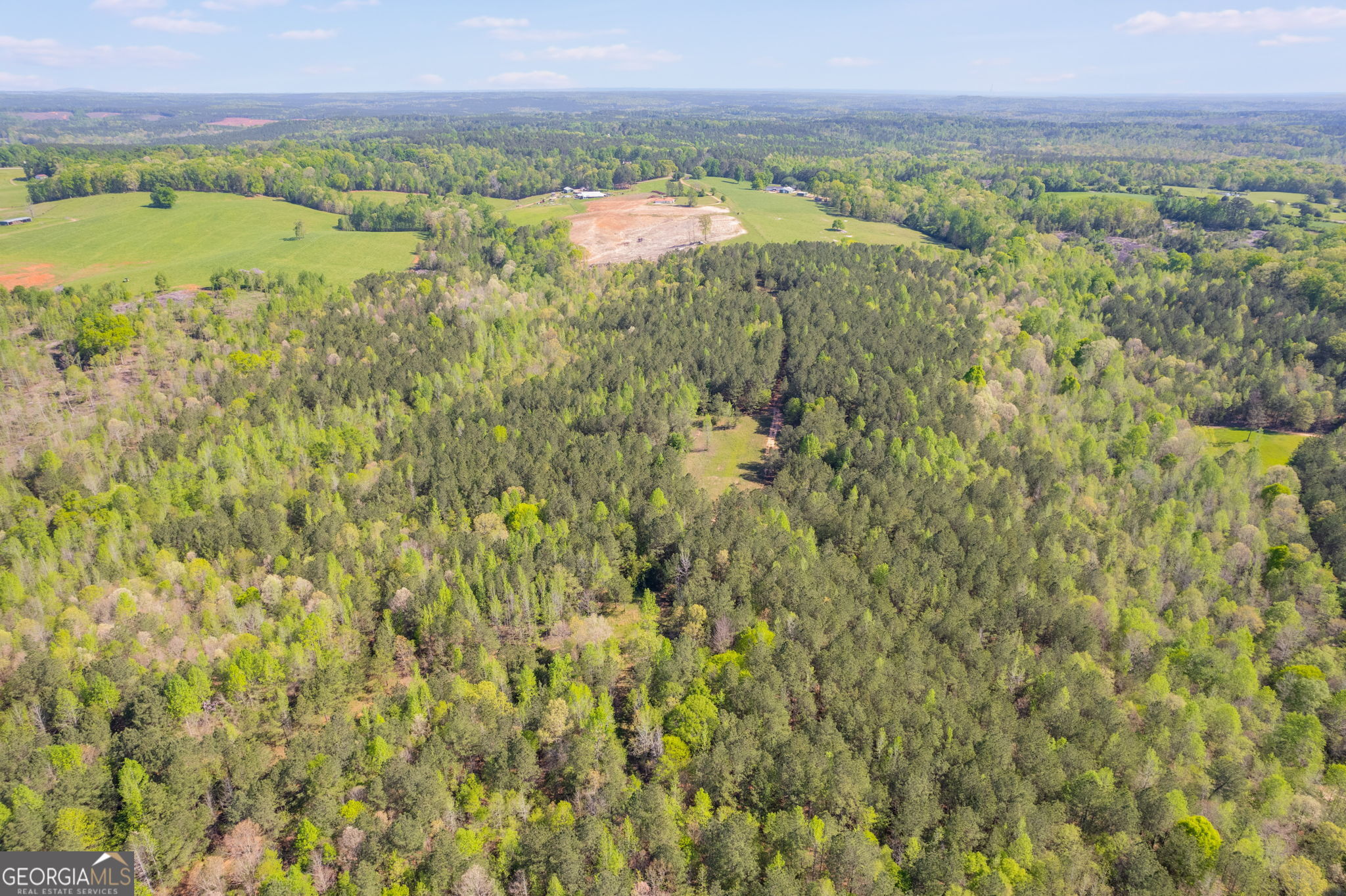 0 Lipham Road Franklin, GA 30217 - Photo 3 of 8 a view of an outdoor space and a lake view