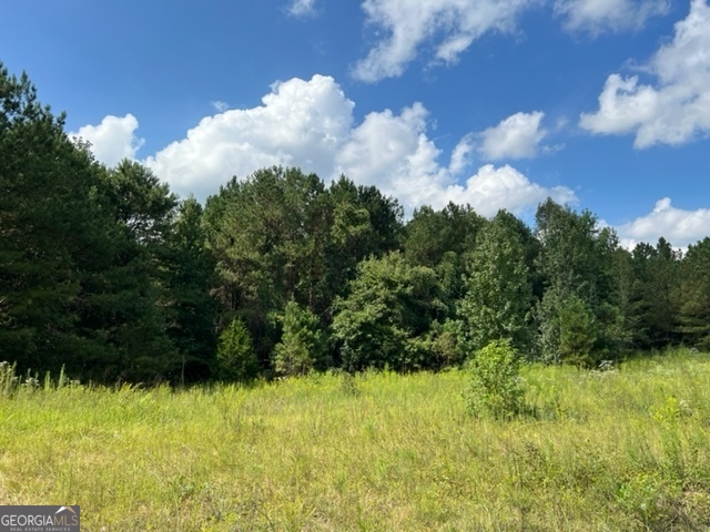 0 Lipham Road Franklin, GA 30217 - Photo 4 of 8 a view of a garden