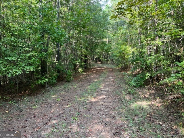 0 Lipham Road Franklin, GA 30217 - Photo 6 of 8 a view of a forest with trees in the background