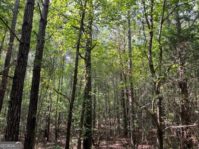 0 Lipham Road Franklin, GA 30217 - Photo 8 of 8 a view of forest