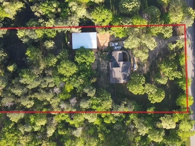 a picture of flowers