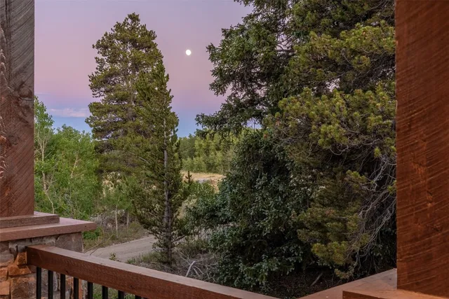 a view of a yard with a tree in the background