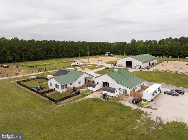 a view of a lake with lawn chairs and large trees