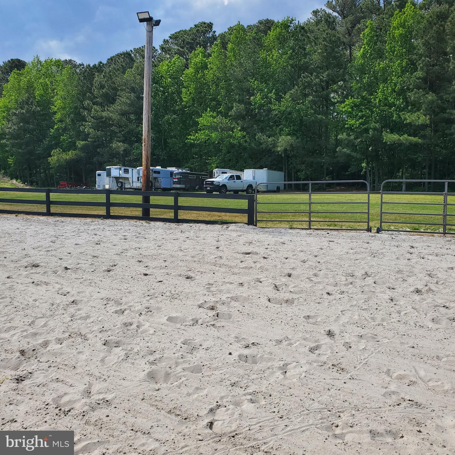 31191 Johnson Road Salisbury, MD 21804 - Photo 12 of 97 a view of a park with a tree