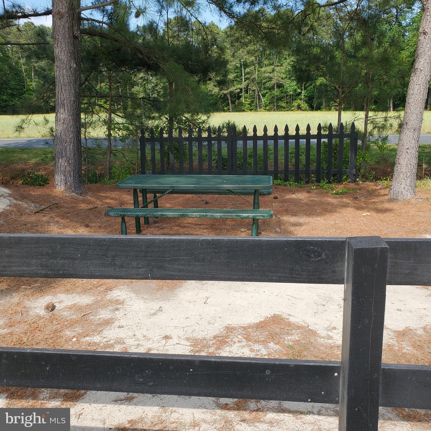 31191 Johnson Road Salisbury, MD 21804 - Photo 15 of 97 English Ring