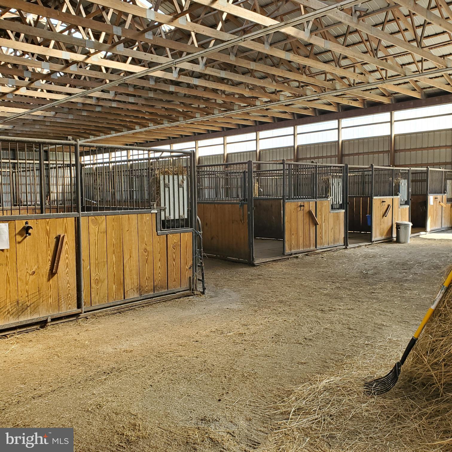31191 Johnson Road Salisbury, MD 21804 - Photo 25 of 97 a view of a backyard